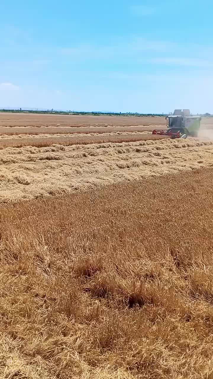 @Alperen Burak Bağcı