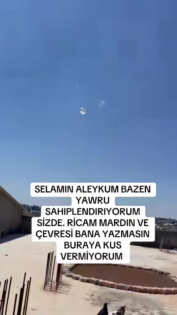@47 argeş