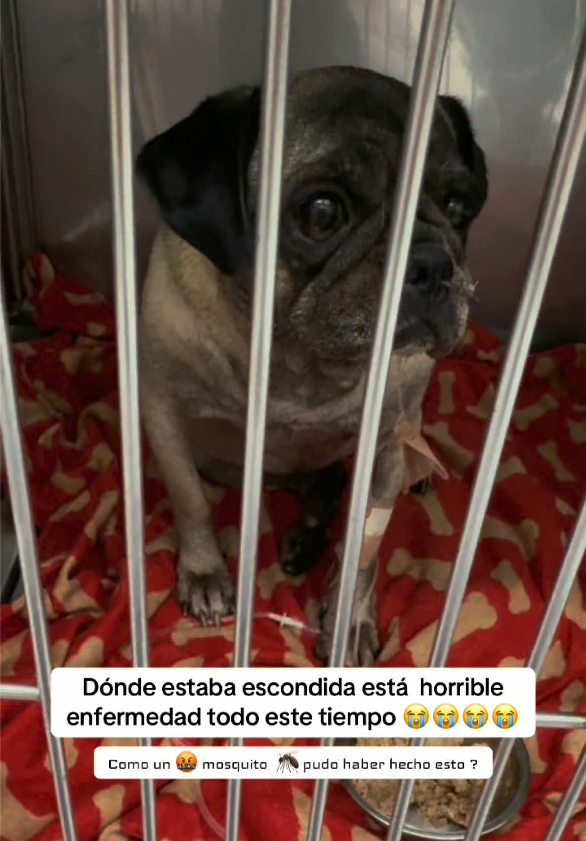 @Mía Rueda