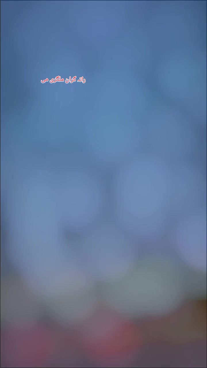 @🇵🇰توروفا🇦🇫