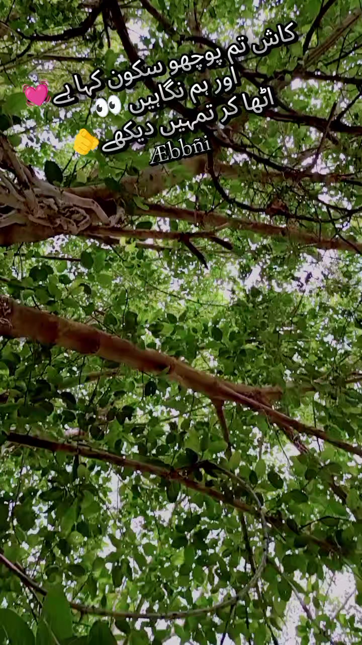 @💔꧁彡[نisar اhmad]彡꧂ 💔