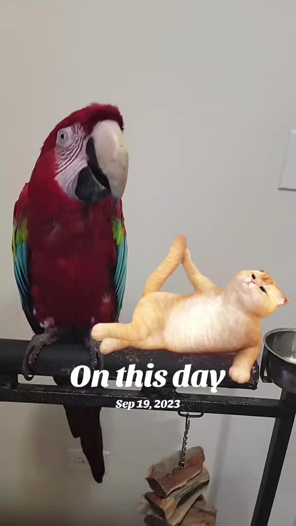 @🕴🏻Heisenbird🐦