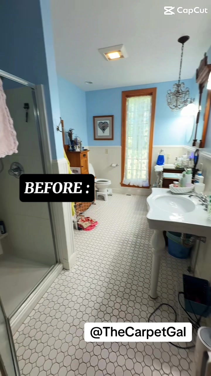 @TheCarpetGal-Cleaning Service