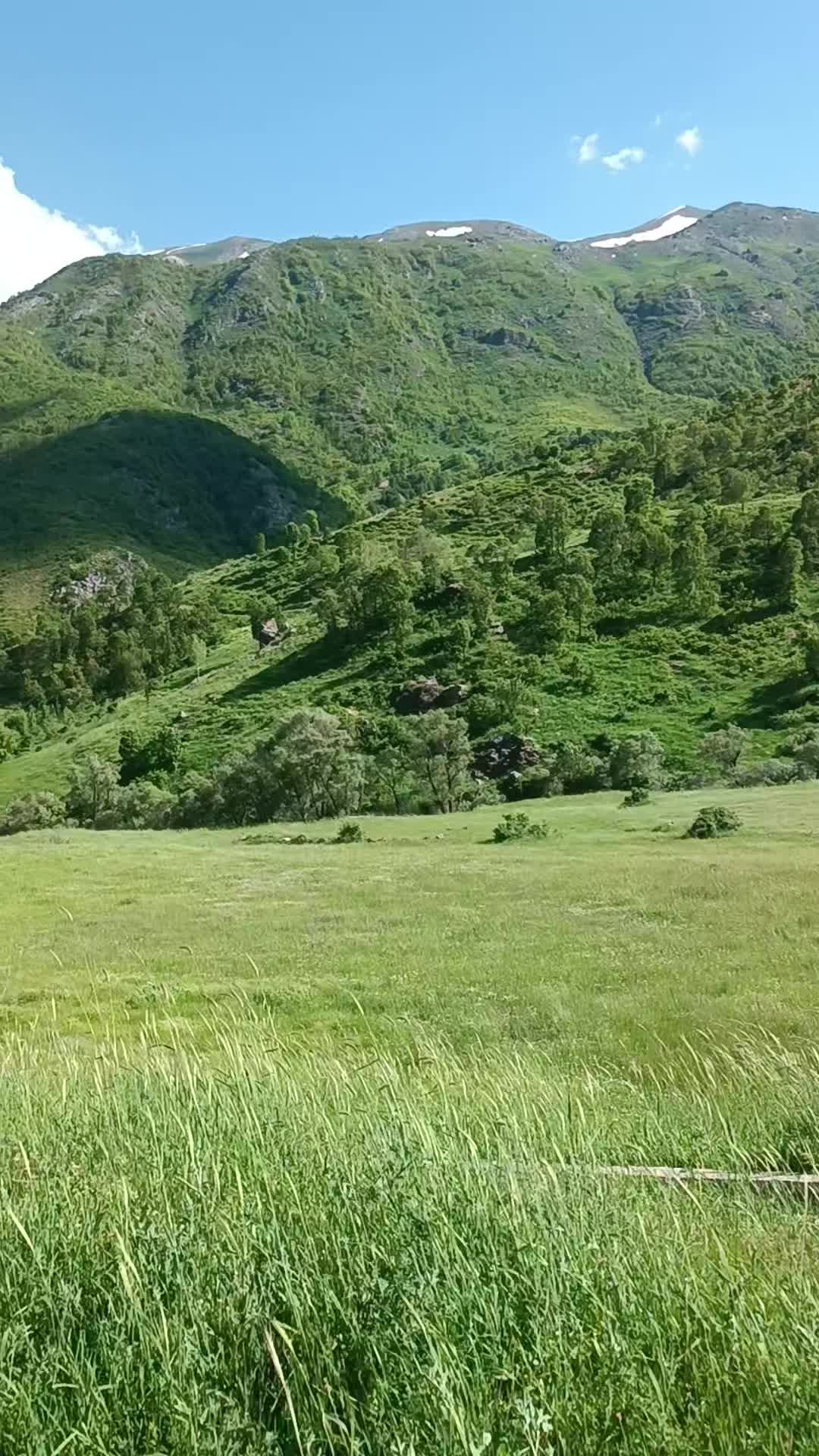 @Üveys Aykutalp