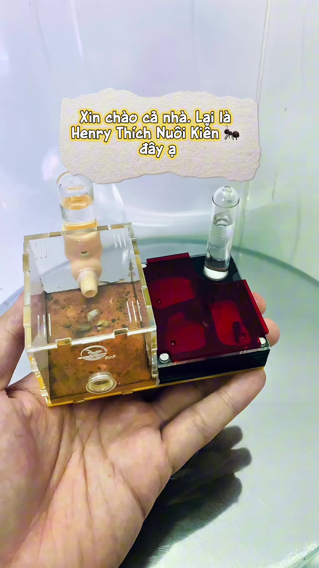 @Henry Thích Nuôi Kiến 🐜