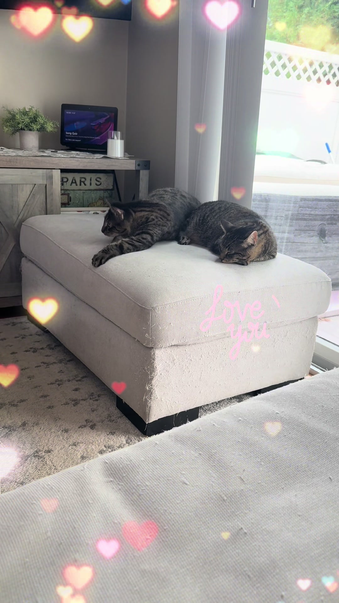 @TailsandWhiskersCo