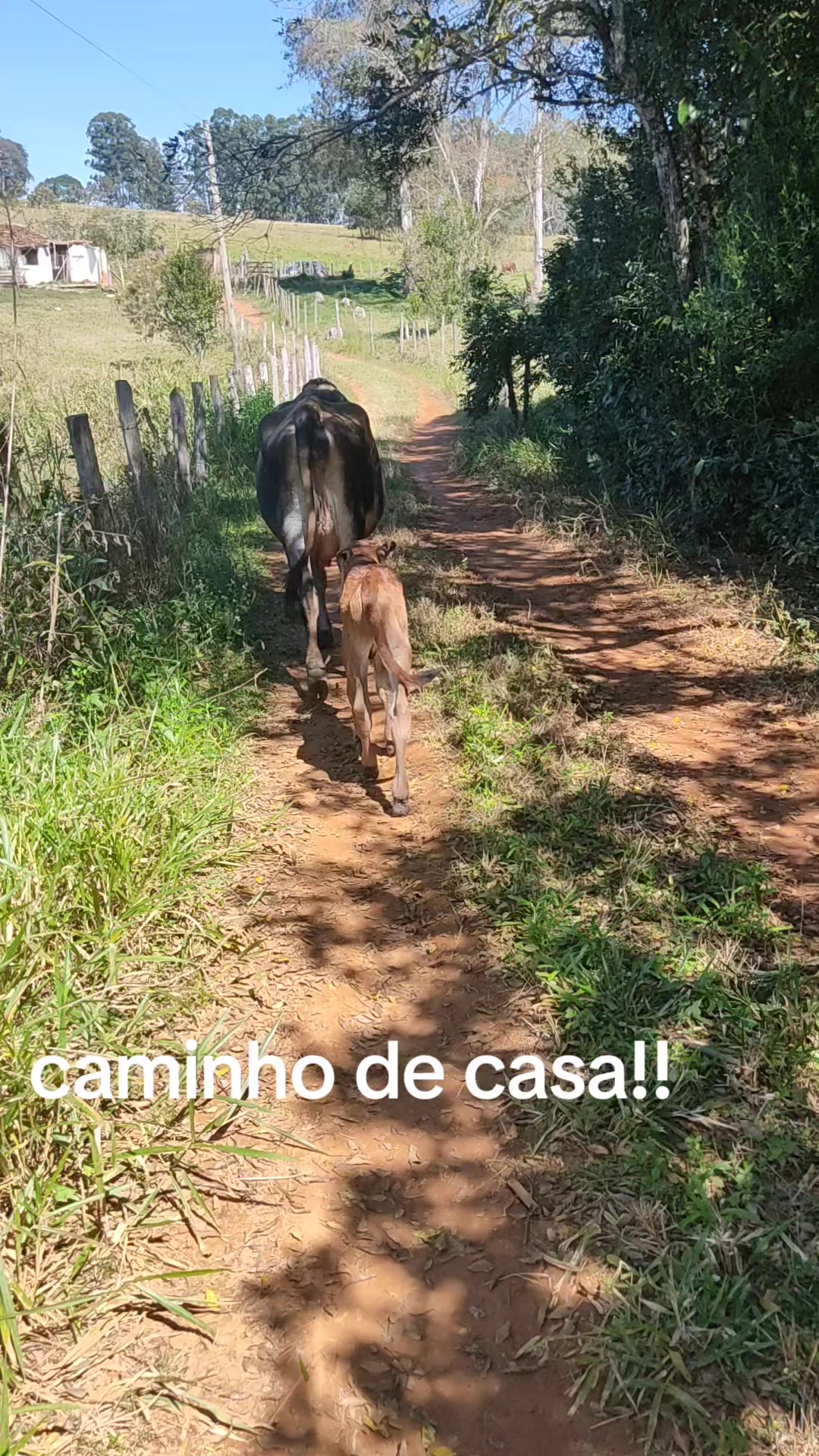 @mariamarciaoliv57