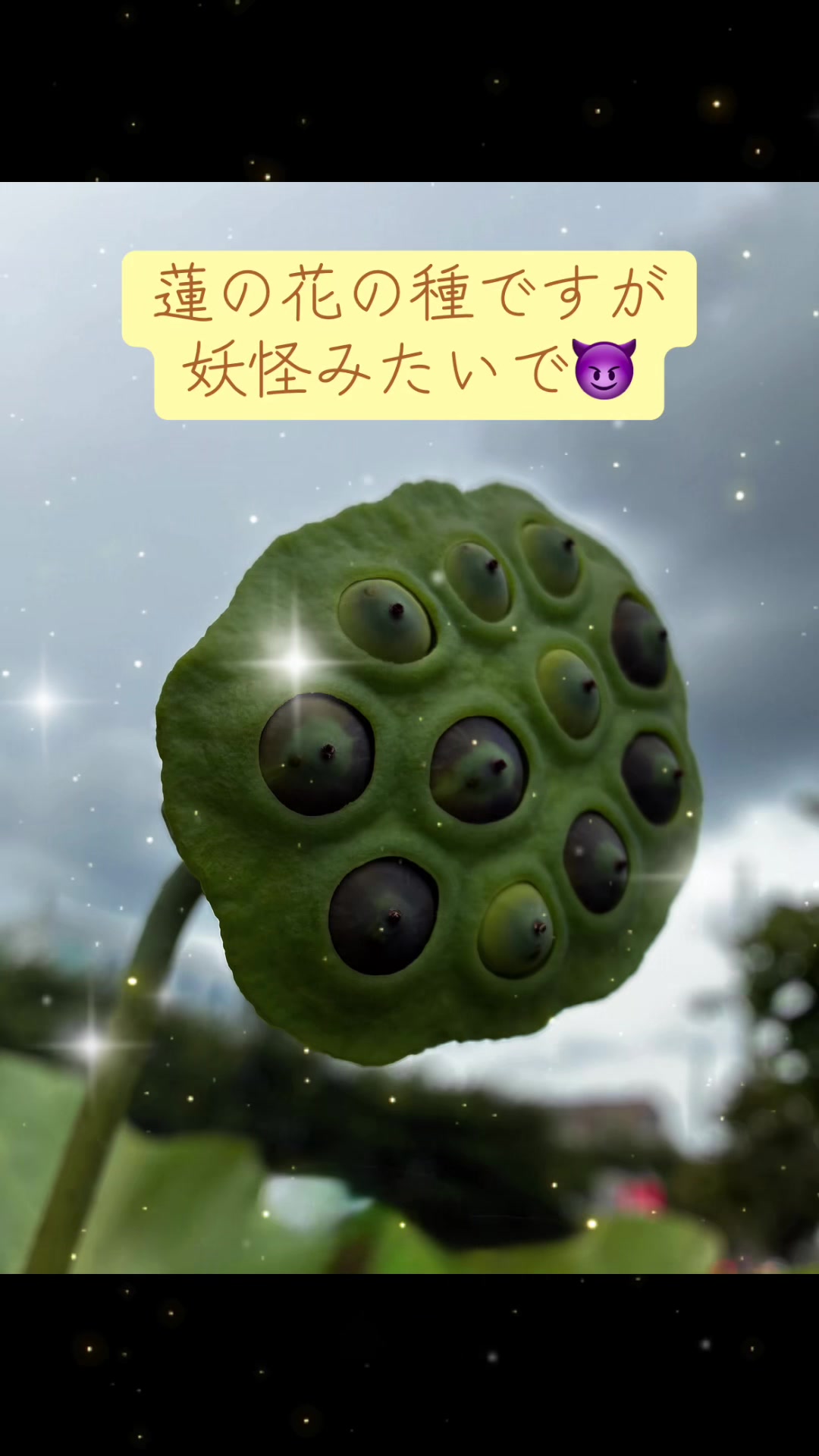 @ã¹ãºãªFaðð