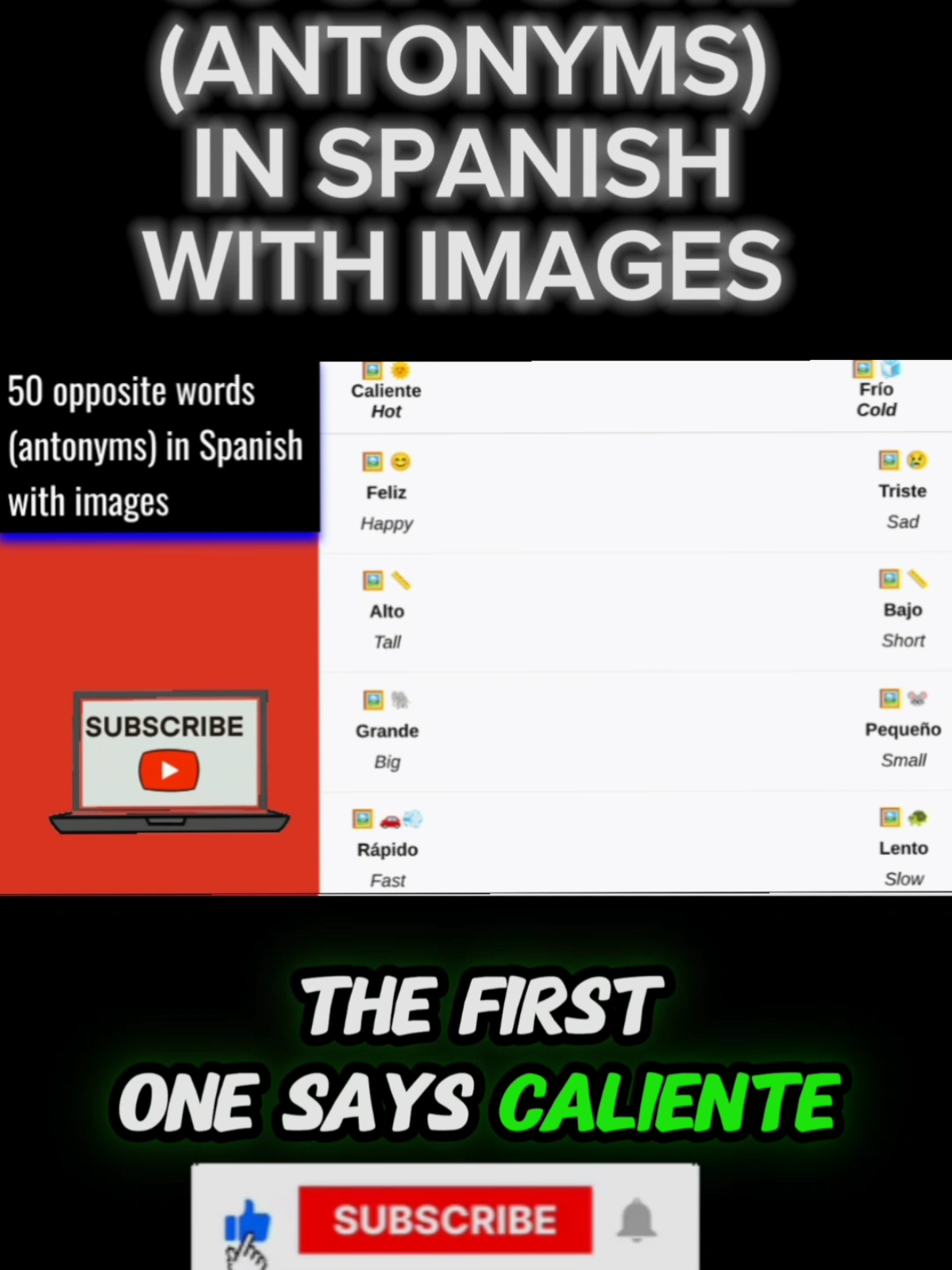 @Spanishlearning101