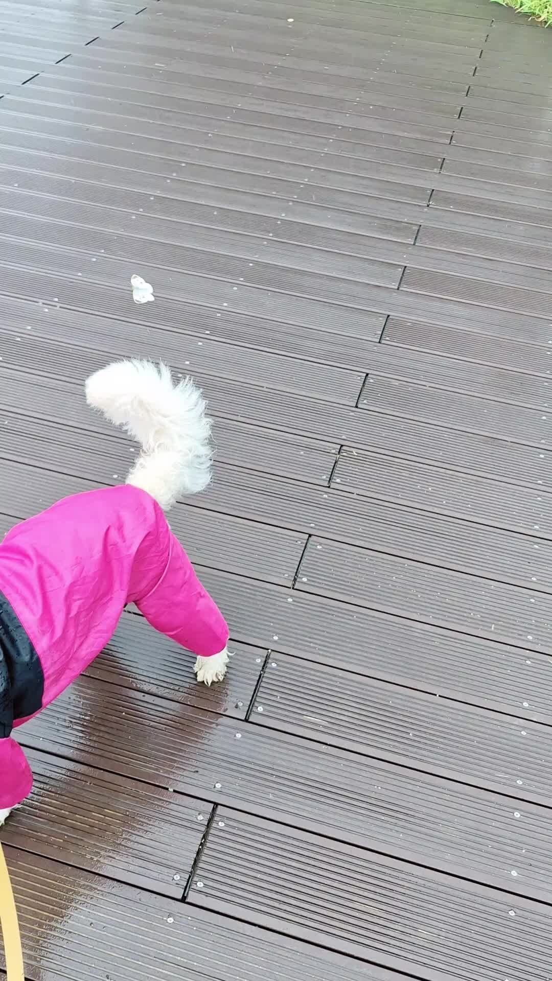 @캔디