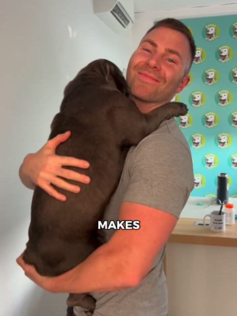 @Happy Staffy Co