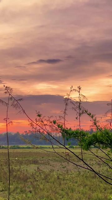 @pecint4senja