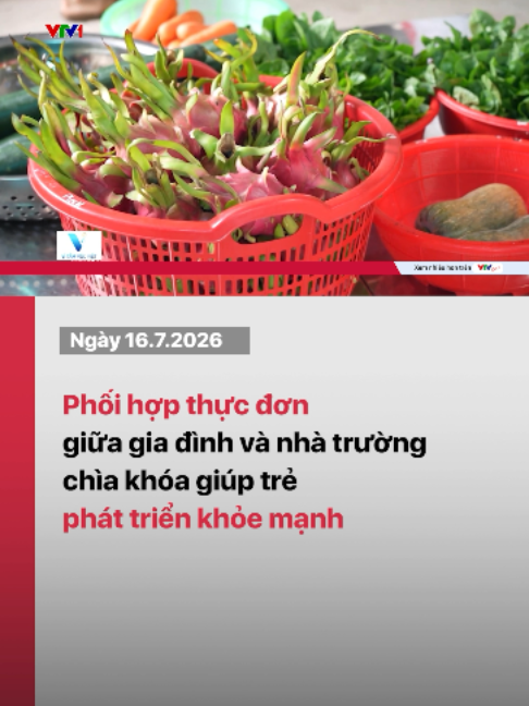 @VTV24