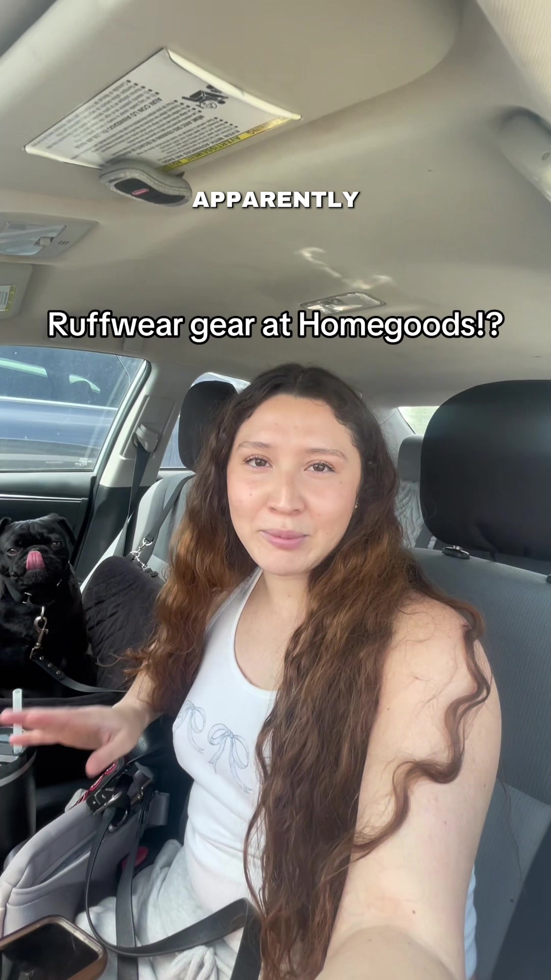 @papitheservicepug