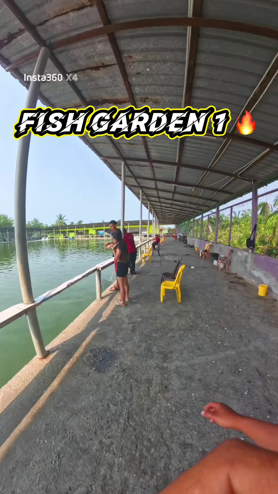 @M Z Reel 🎣