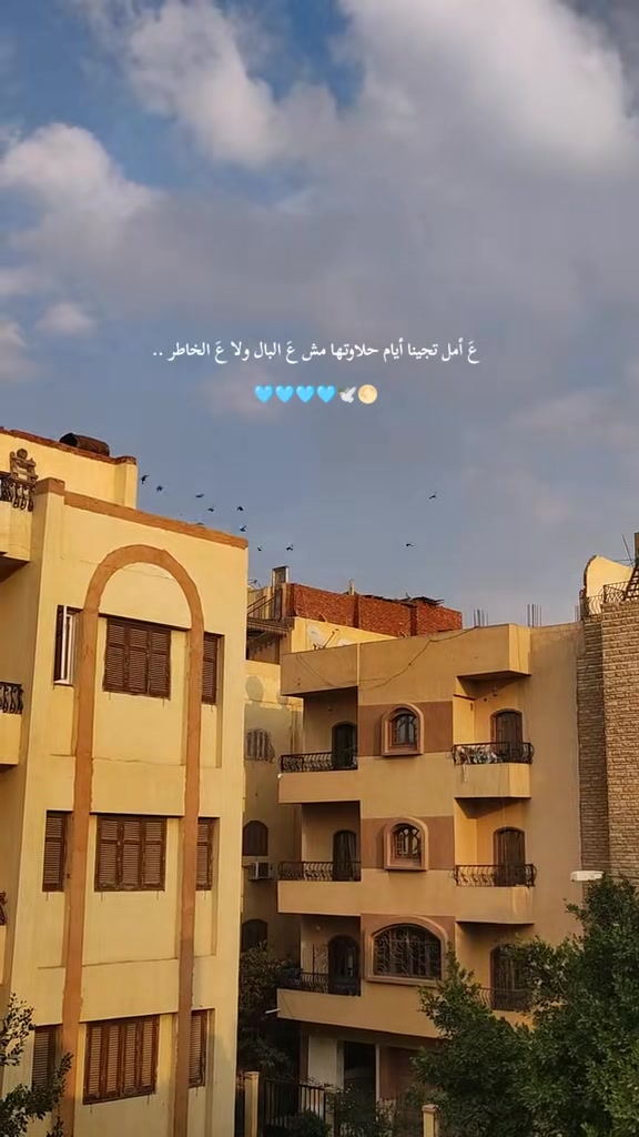 @Esraa Amoon🍓🌕
