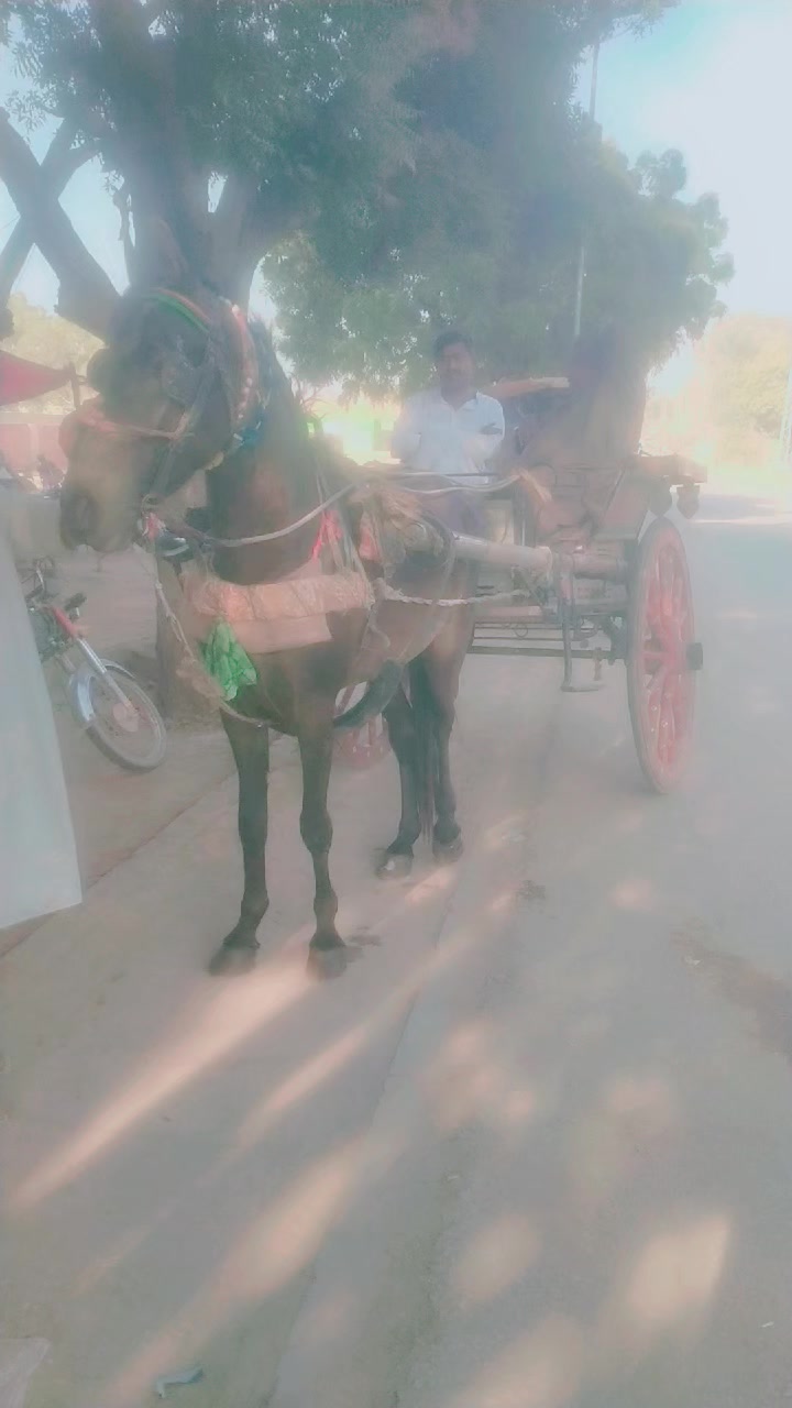 @BhAo Mallah