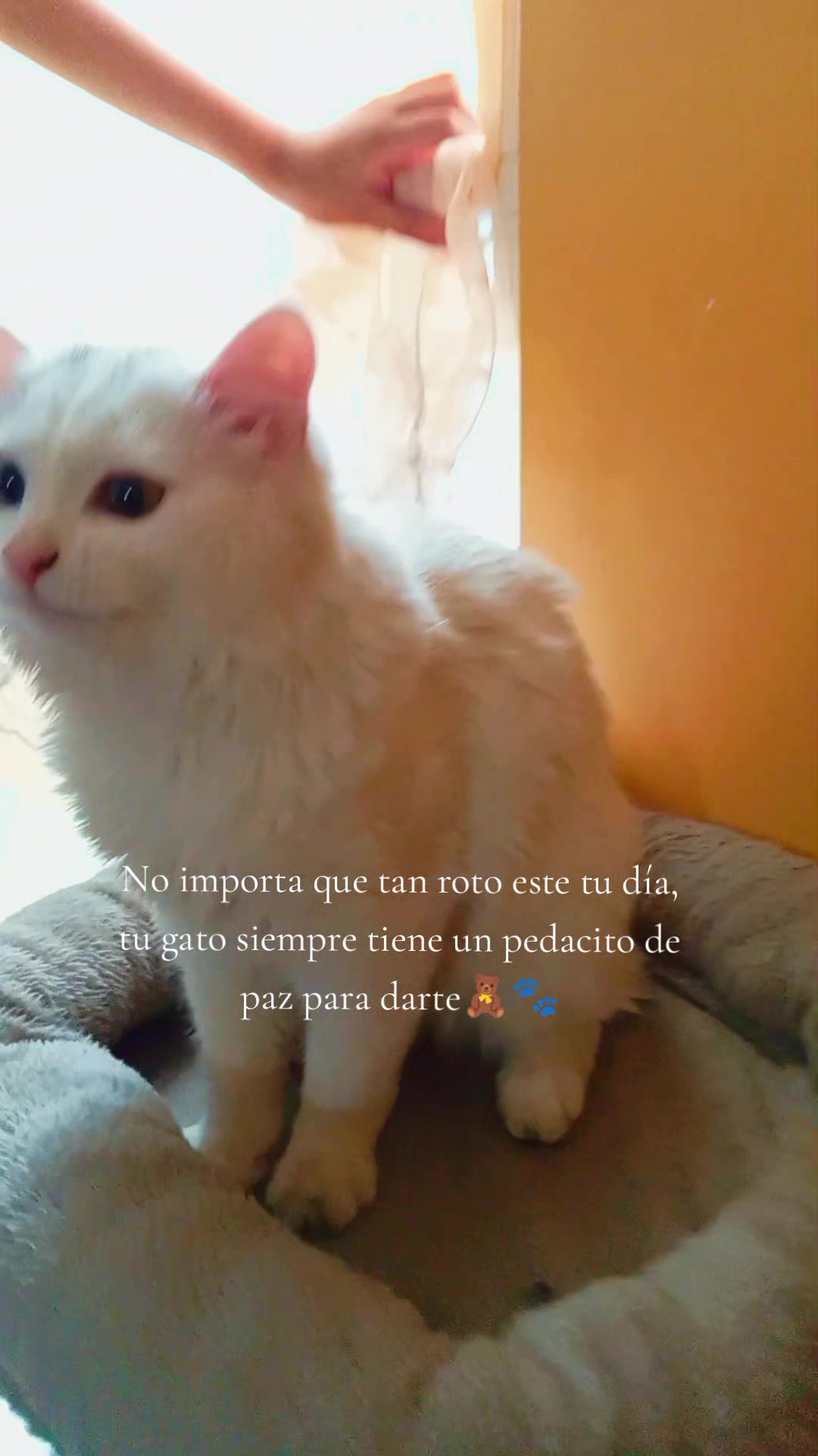 @Lupitaa Ramirez Mont
