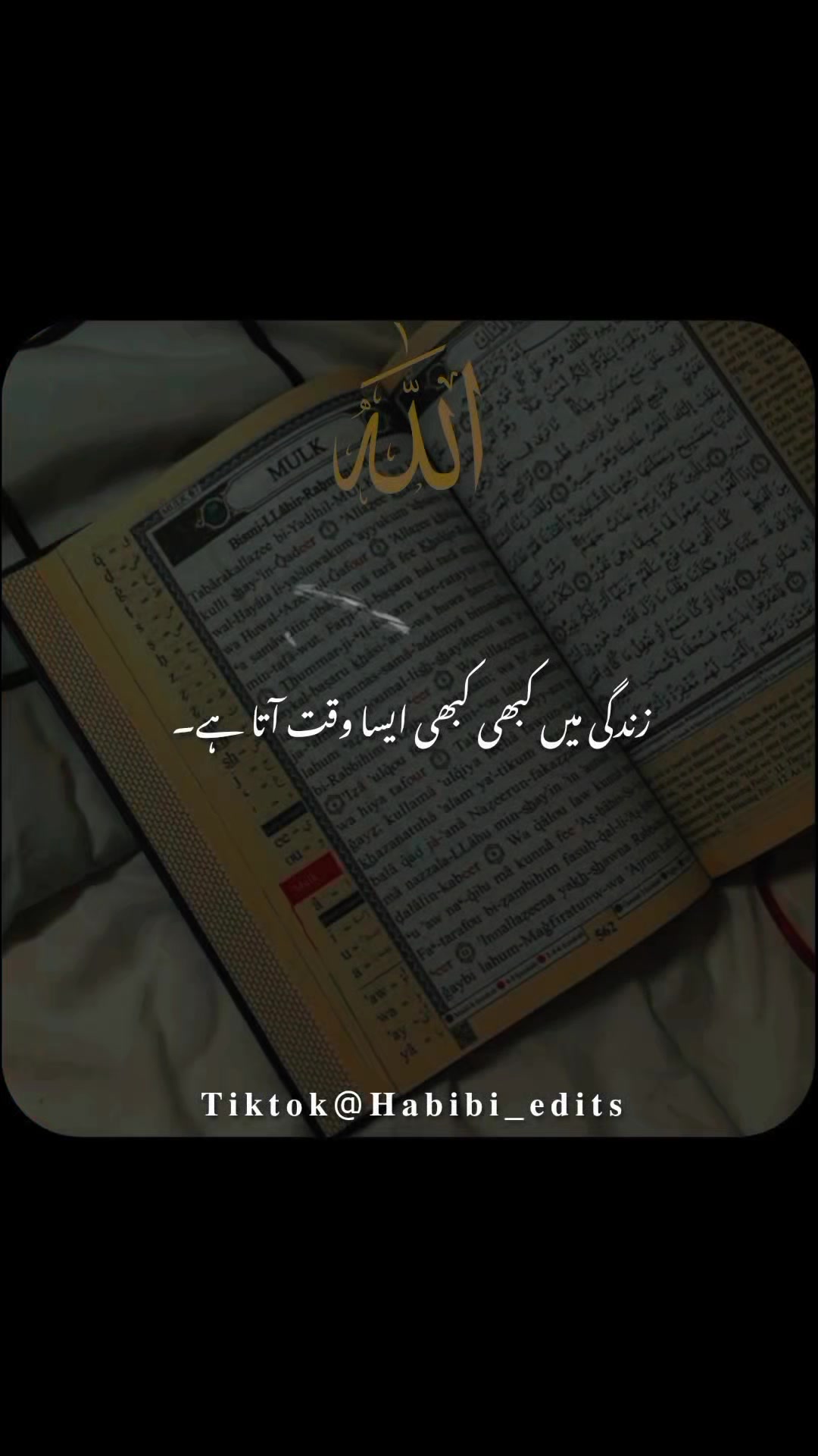 @𝐇𝐚𝐛𝐢𝐛𝐢 𝐞𝐝𝐢𝐭𝐬🌸