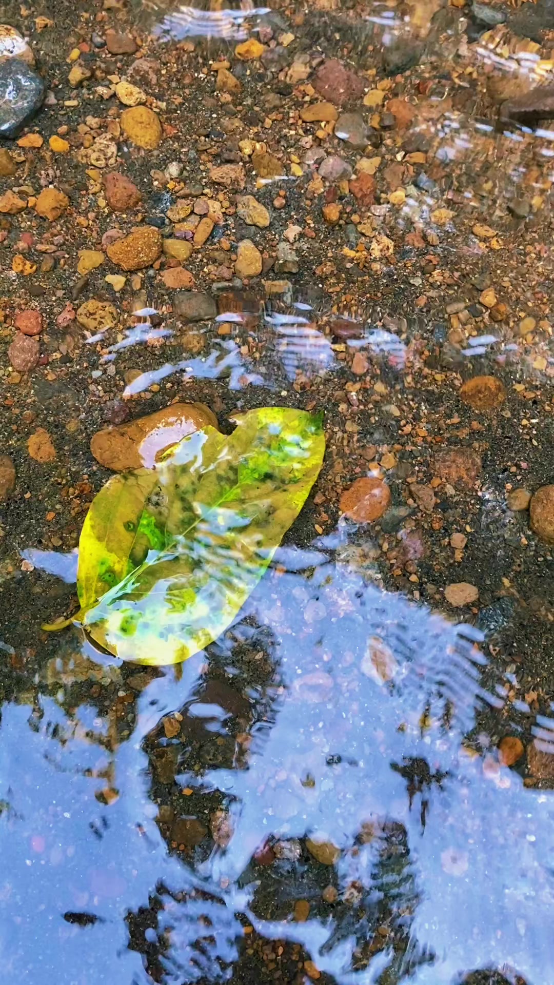 @𝙄𝙋𝙉 𝘼𝙇𝙋𝙉𝘿