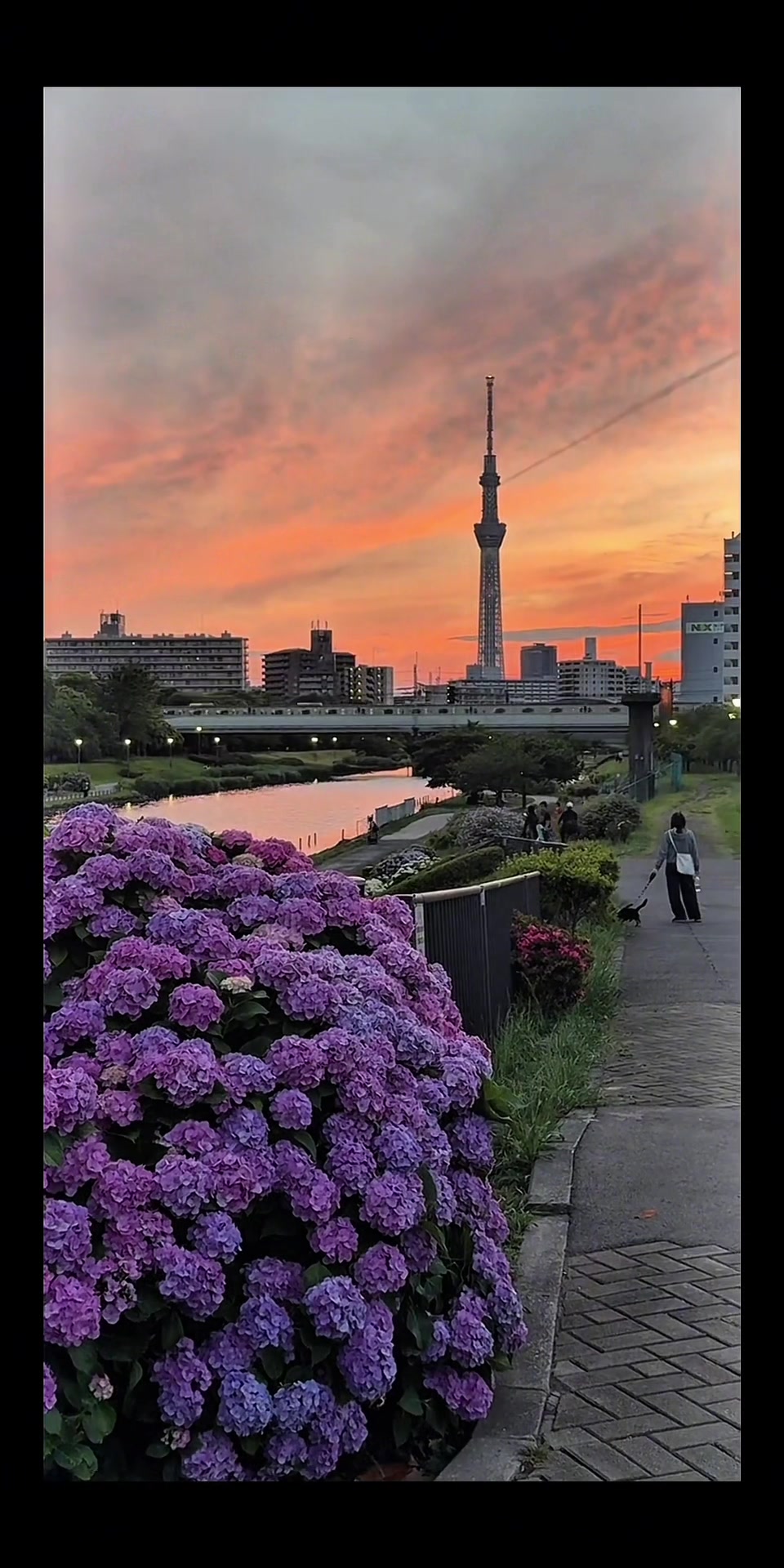 @åæ ãð°ãtokyoé
ä¿¡ã