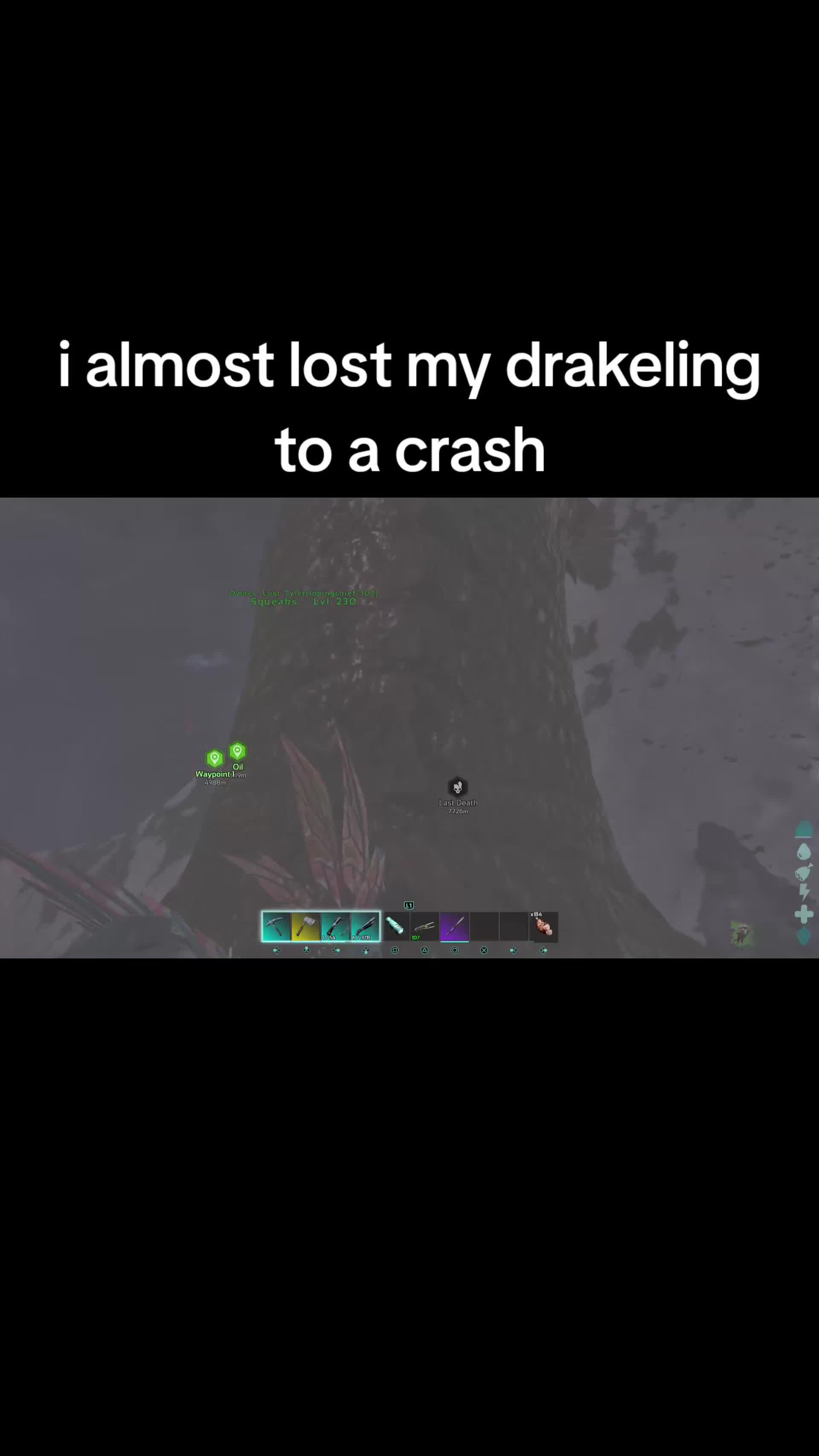 @Lopingchief302