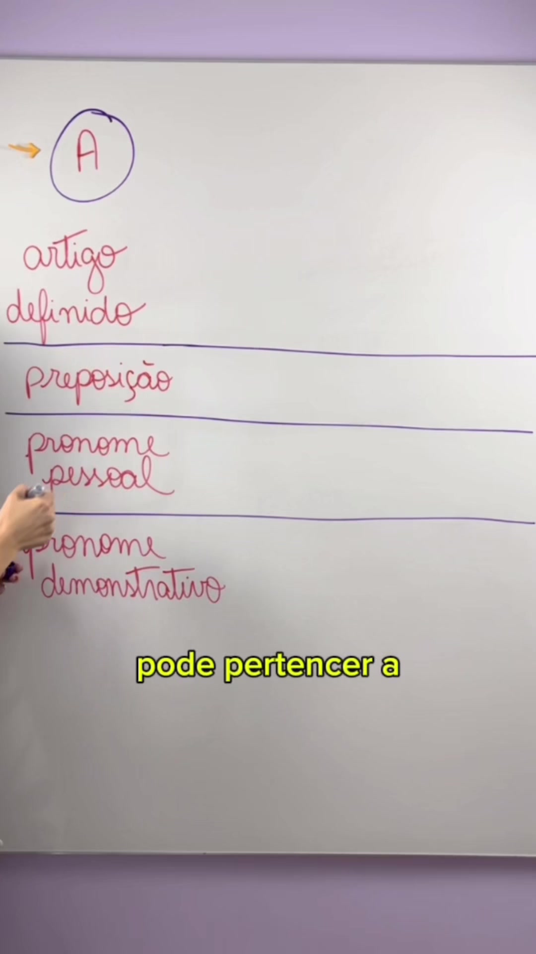 @Português com Letícia