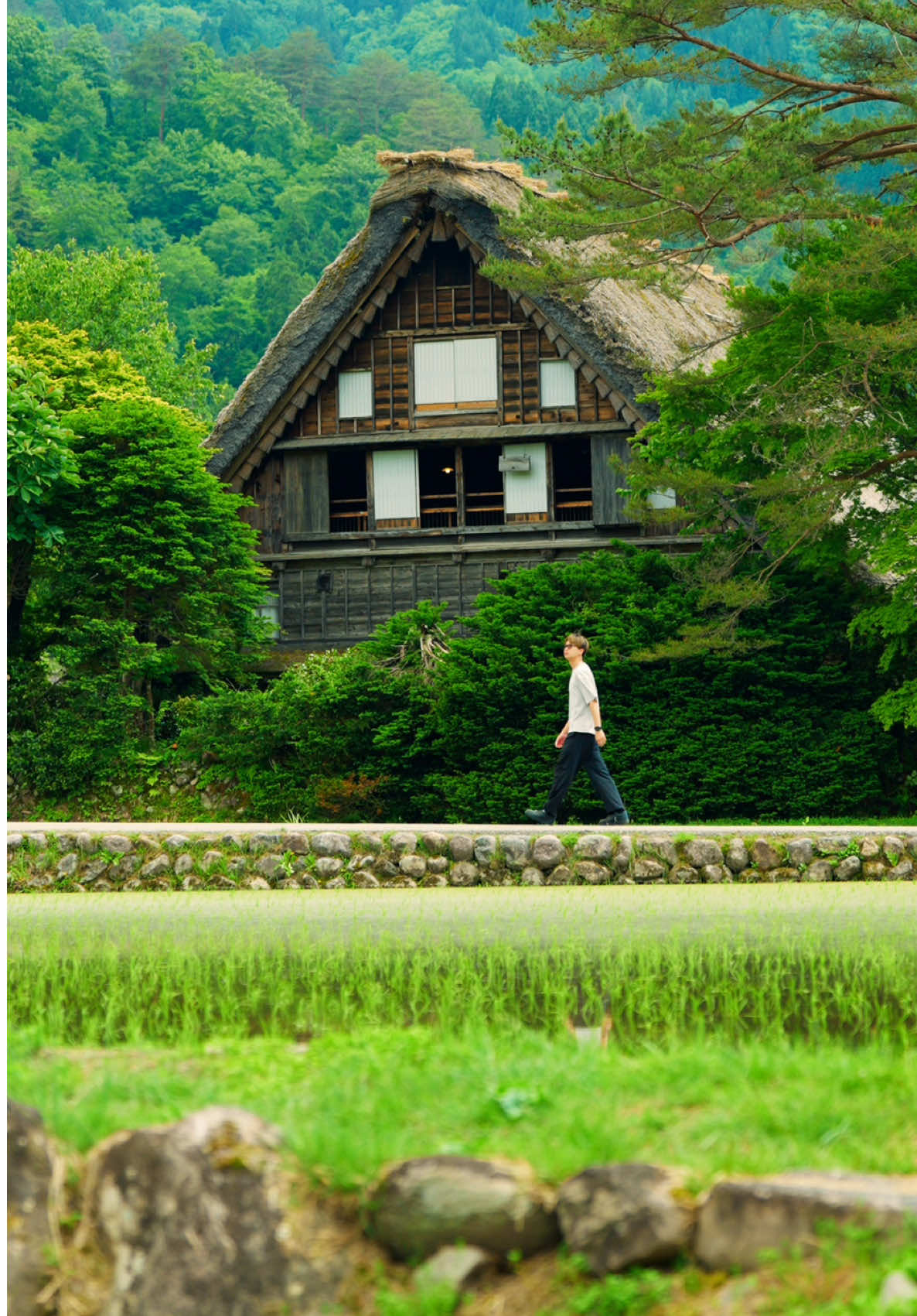 @Cotton | Japan Travel 🇯🇵