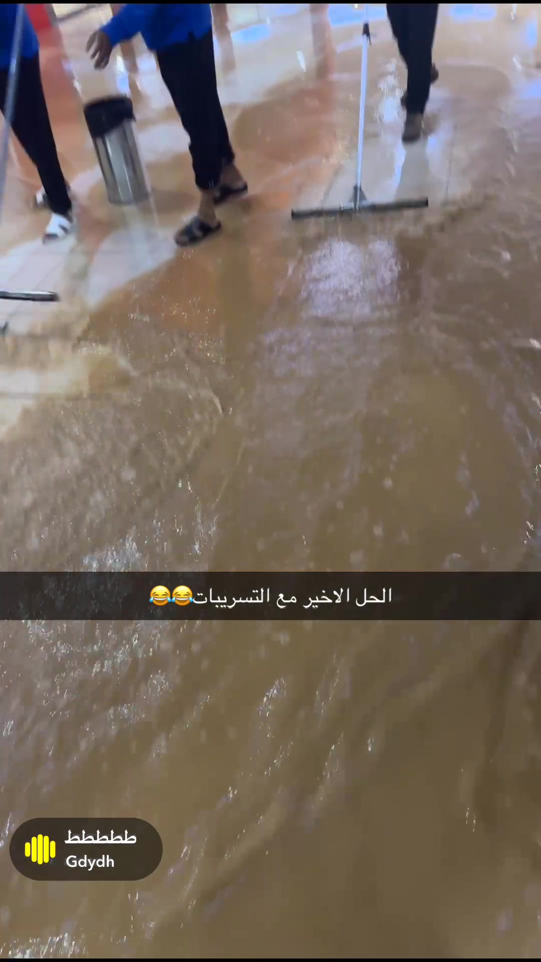 @المُشمهندس، سامي