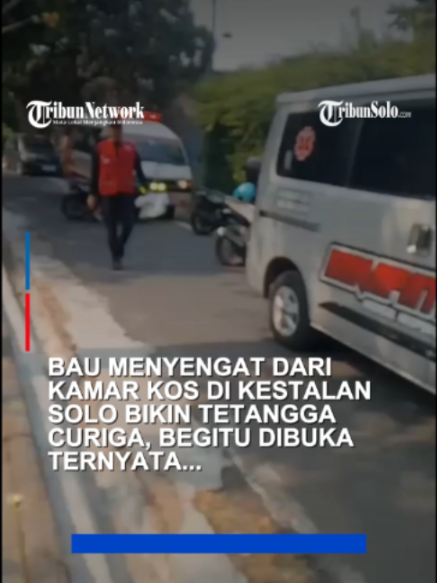 @TribunSolo.com