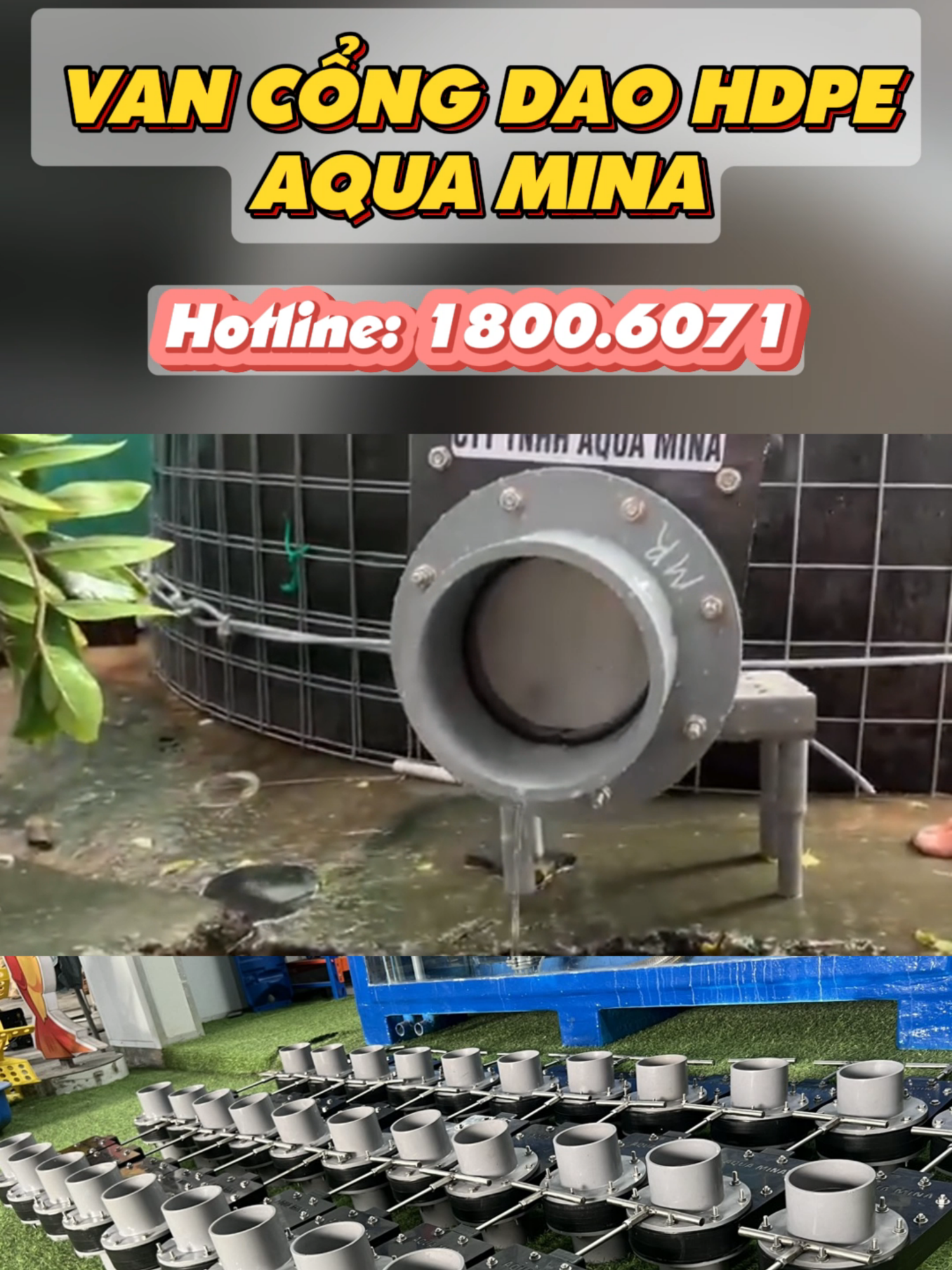 @C&Ocirc;NG TY TNHH AQUA MINA
