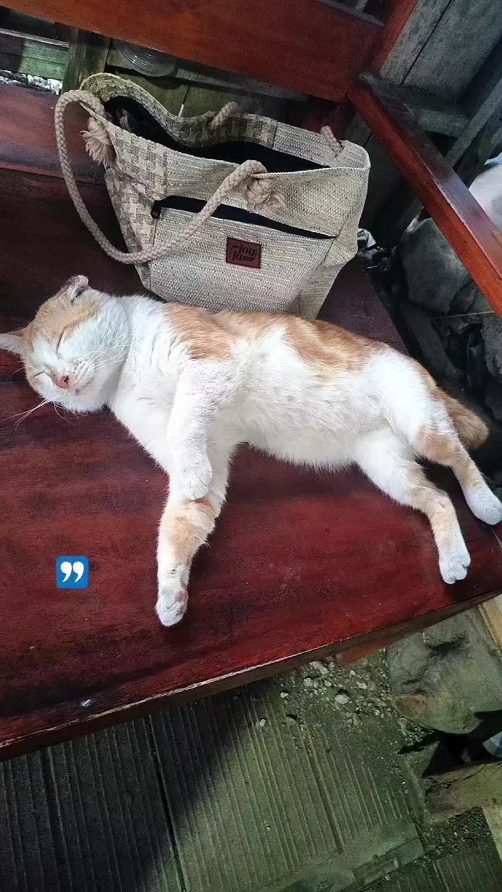 @yuliiiiii