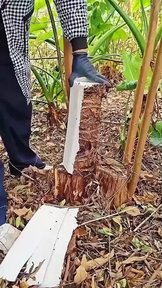 @◉‿◉