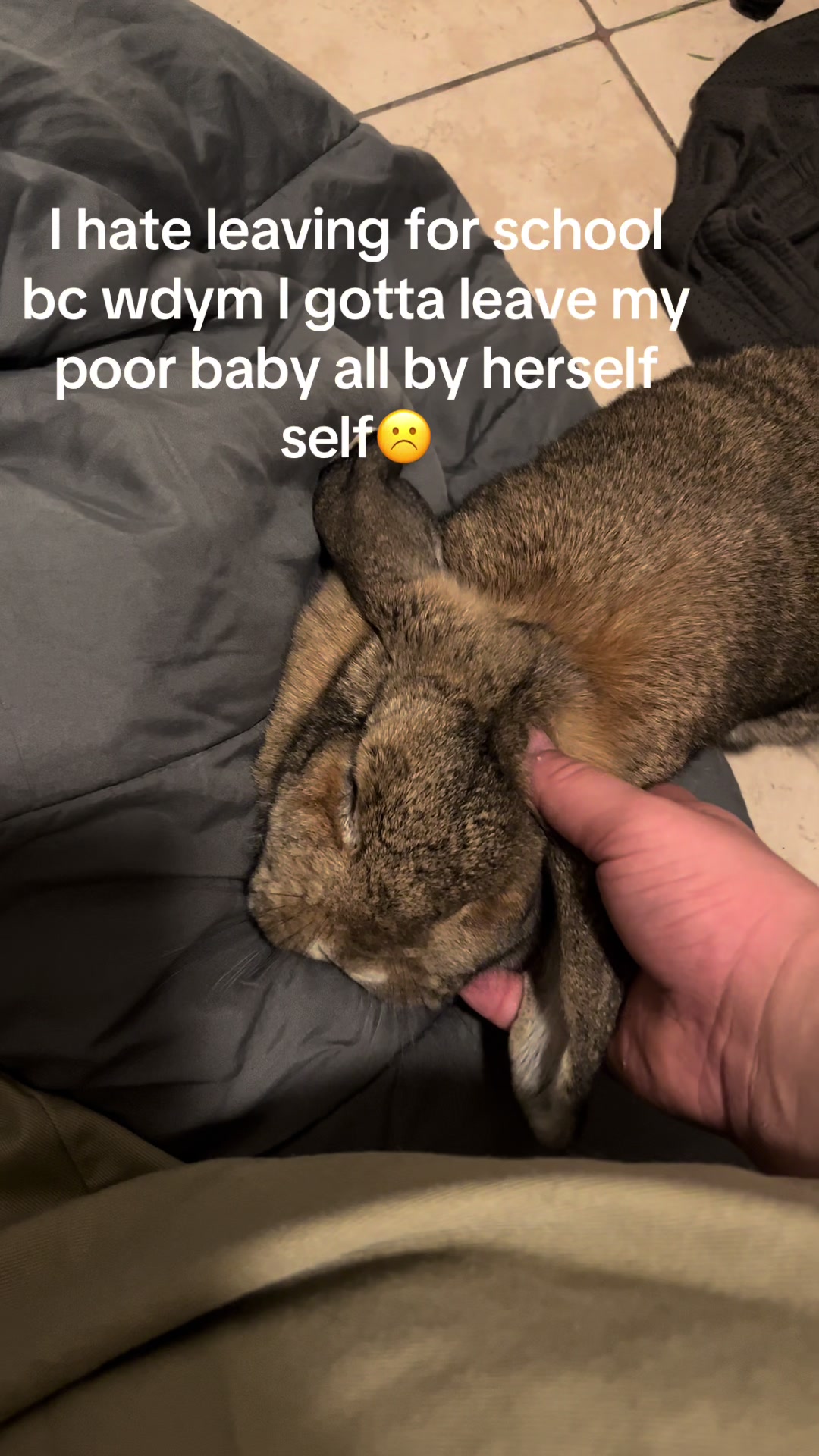 @Fadedbunny69
