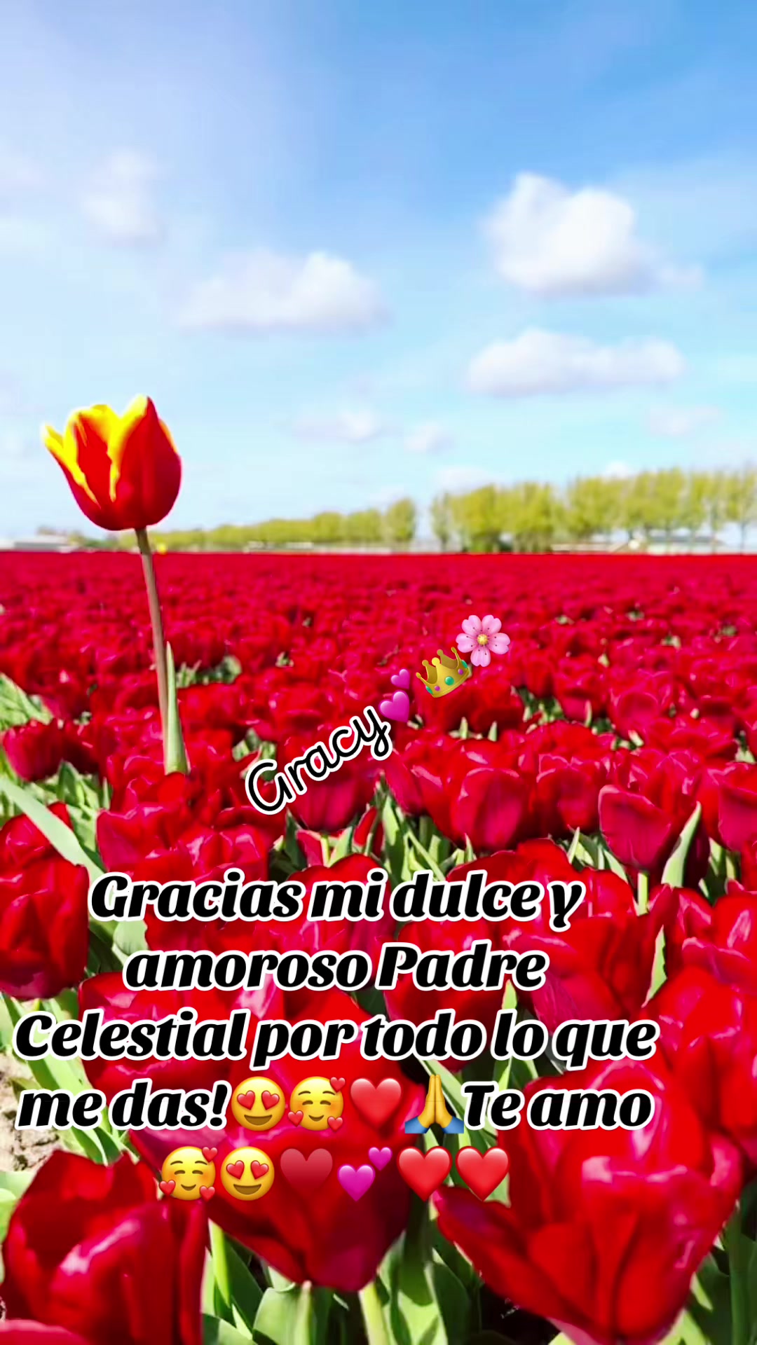 @JesucristoMiSalvador🥰🥰
