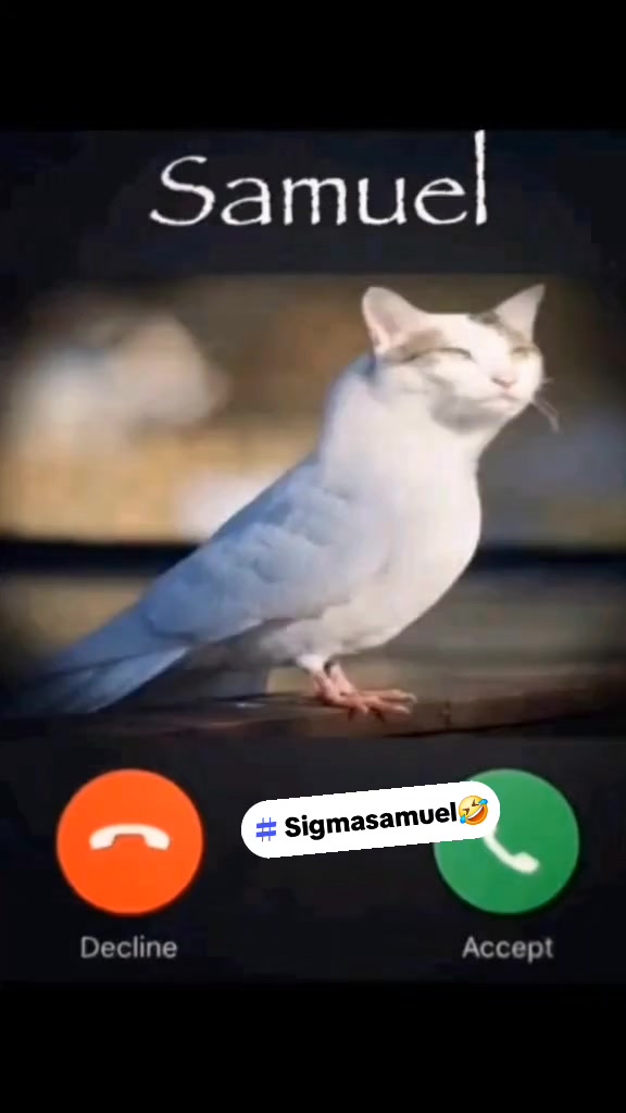 @Sigma Samuel 2