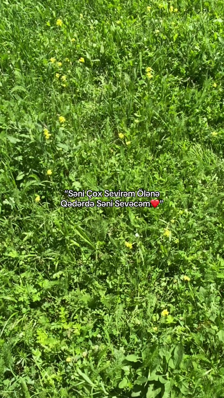 @Hasanowss🇷🇺