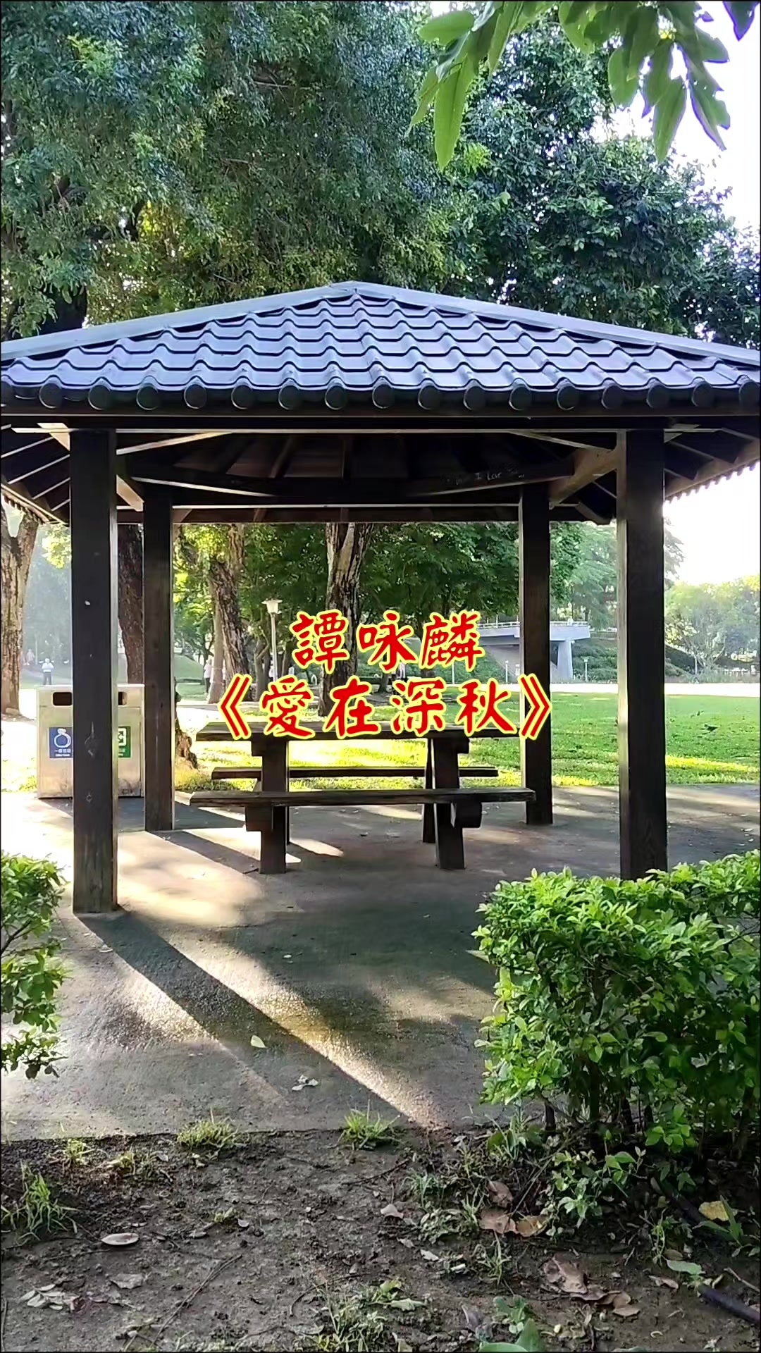 @雞不叫也天亮