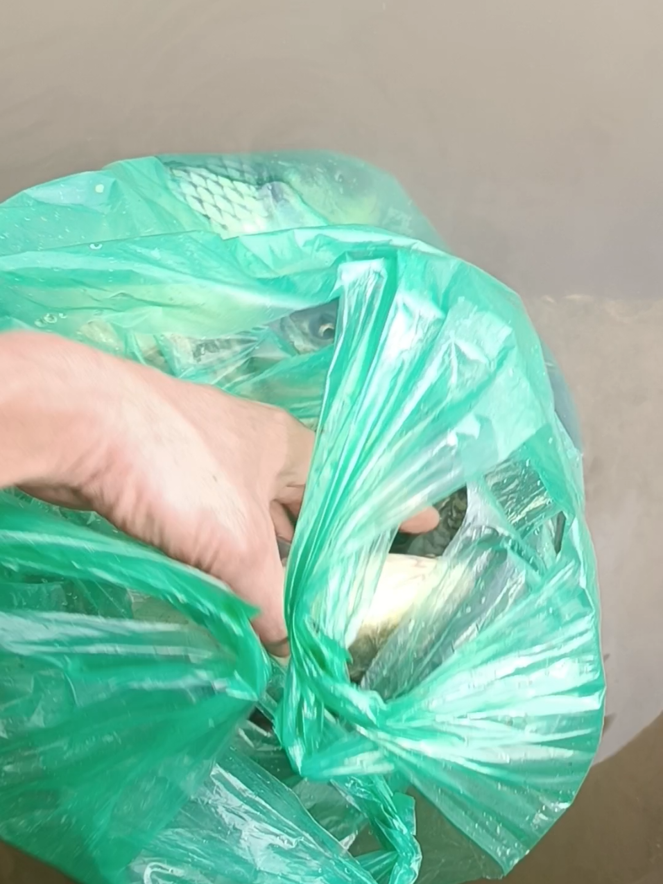 @Tổng Sỉ Hu&acirc;n Hường Thổ Tang