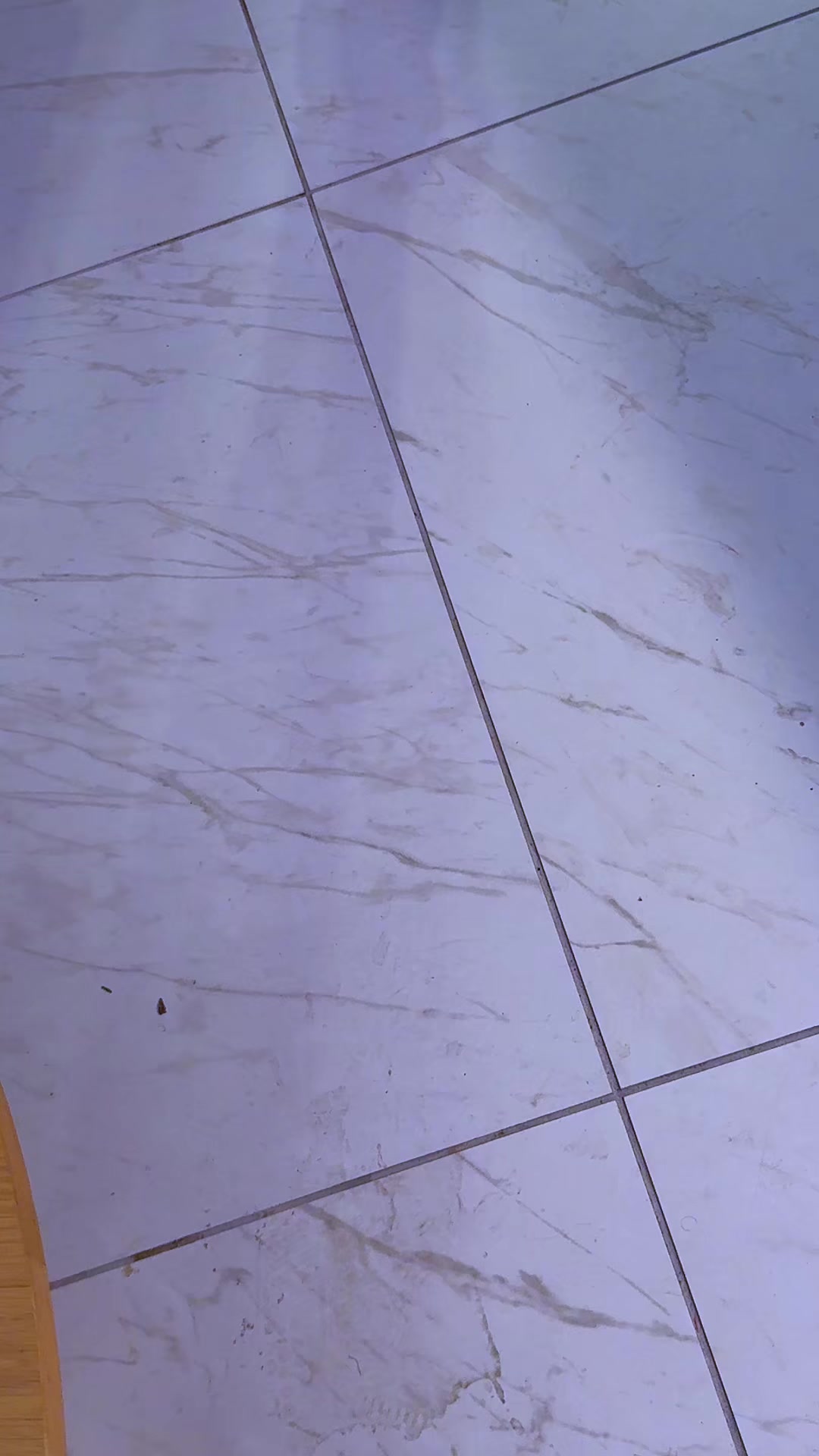 @EL M&Atilde;ESTRO@375🇭🇹/🇧🇷/🇺🇸