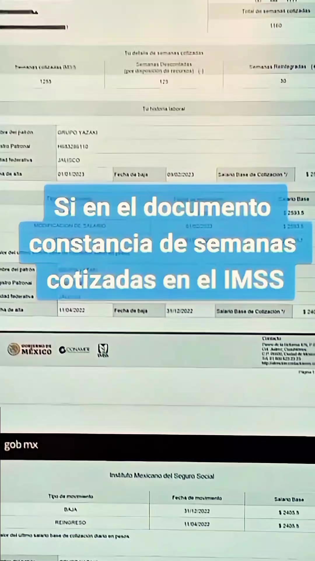 @CESAR SALDIVAR ASESOR