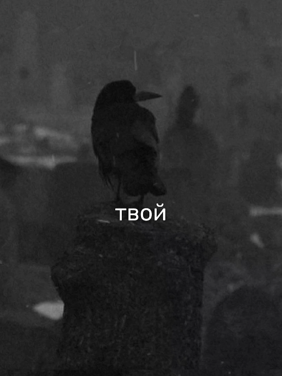 @я твоё зеркало