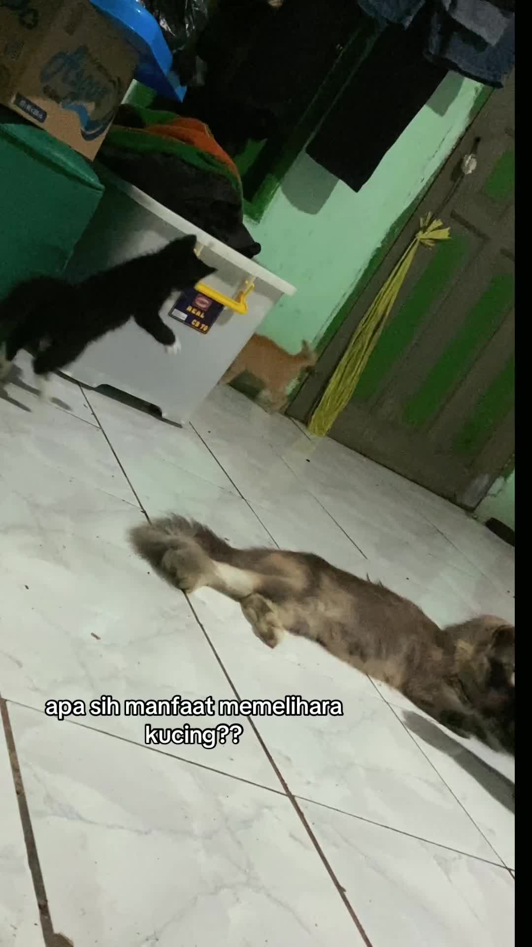 @𝙄𝙋𝙉 𝘼𝙇𝙋𝙉𝘿