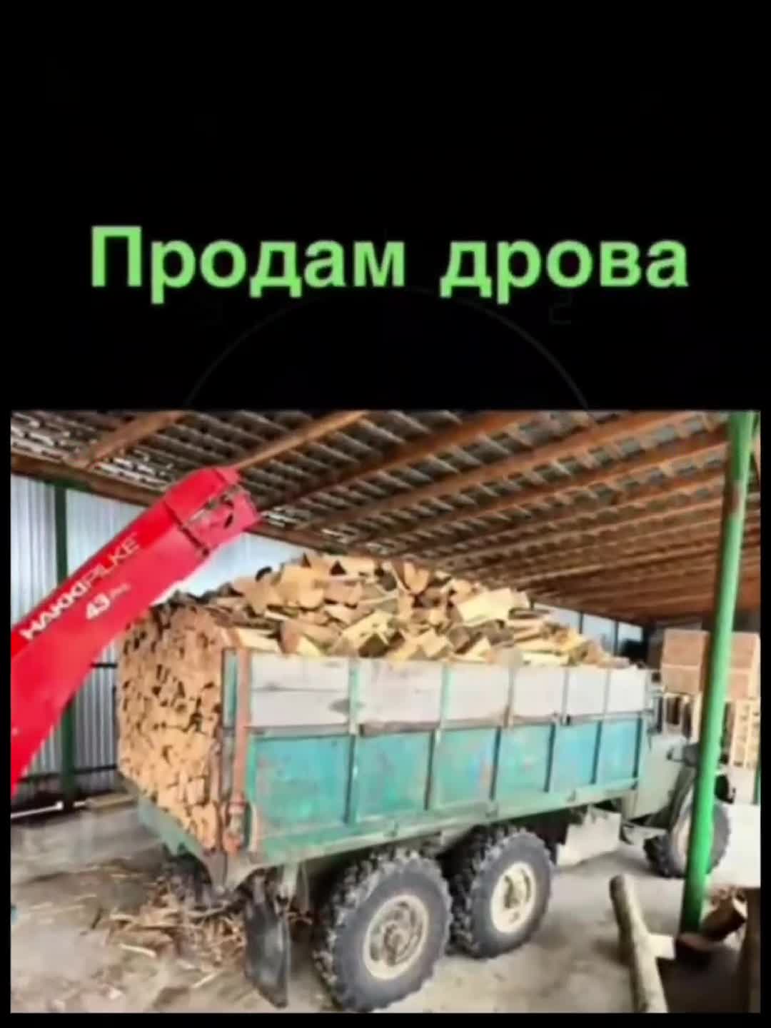 @Голубь мира