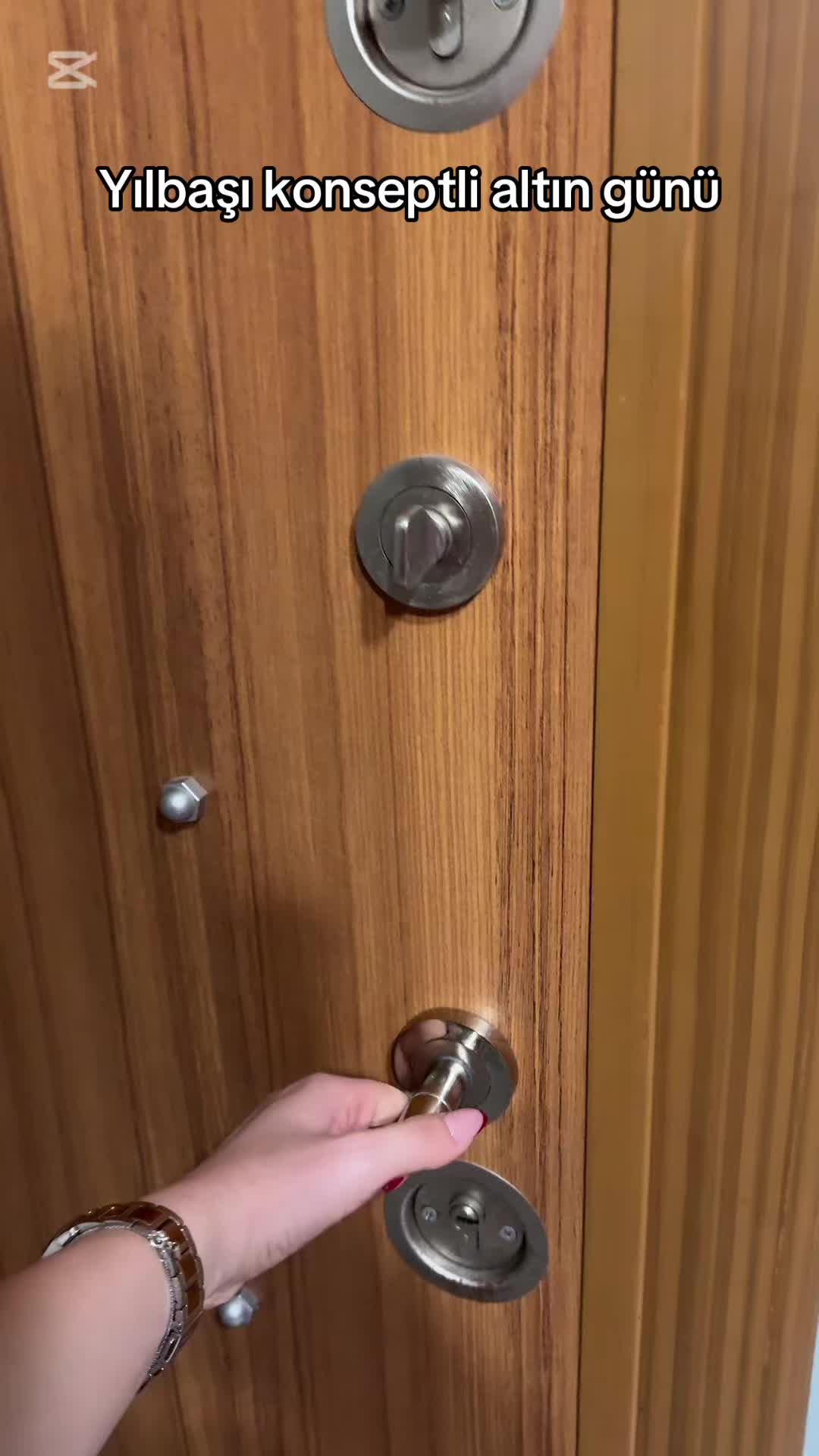 @aysenuurr61