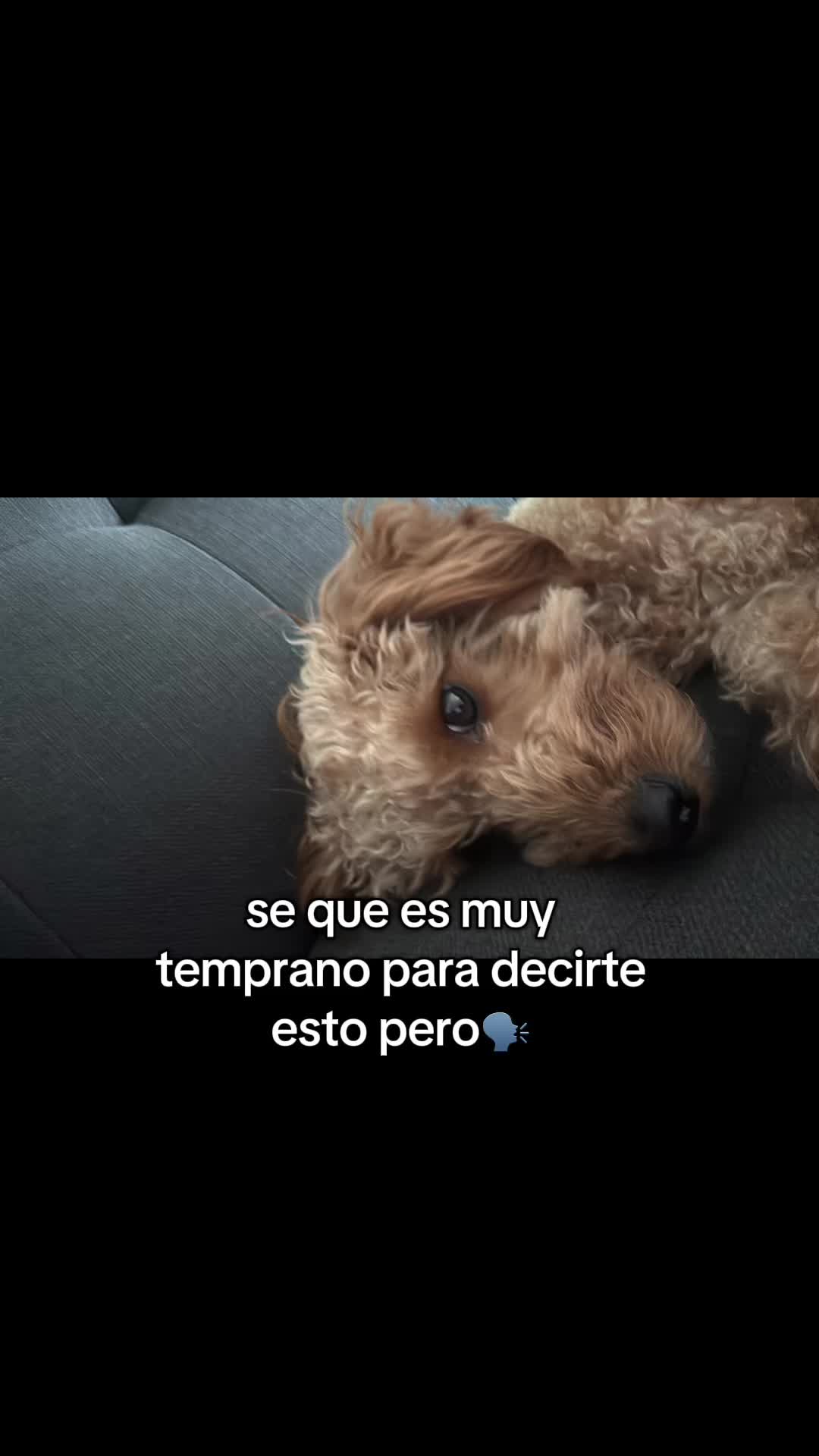@Sarita1321❤️