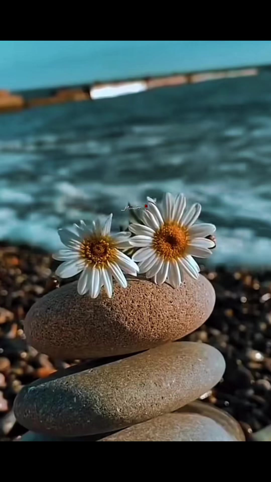 @ꨄ︎𝓜𝓲𝓶𝓲🥀