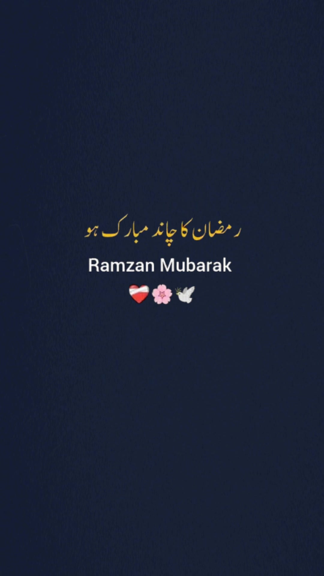 @kaynaat2112004