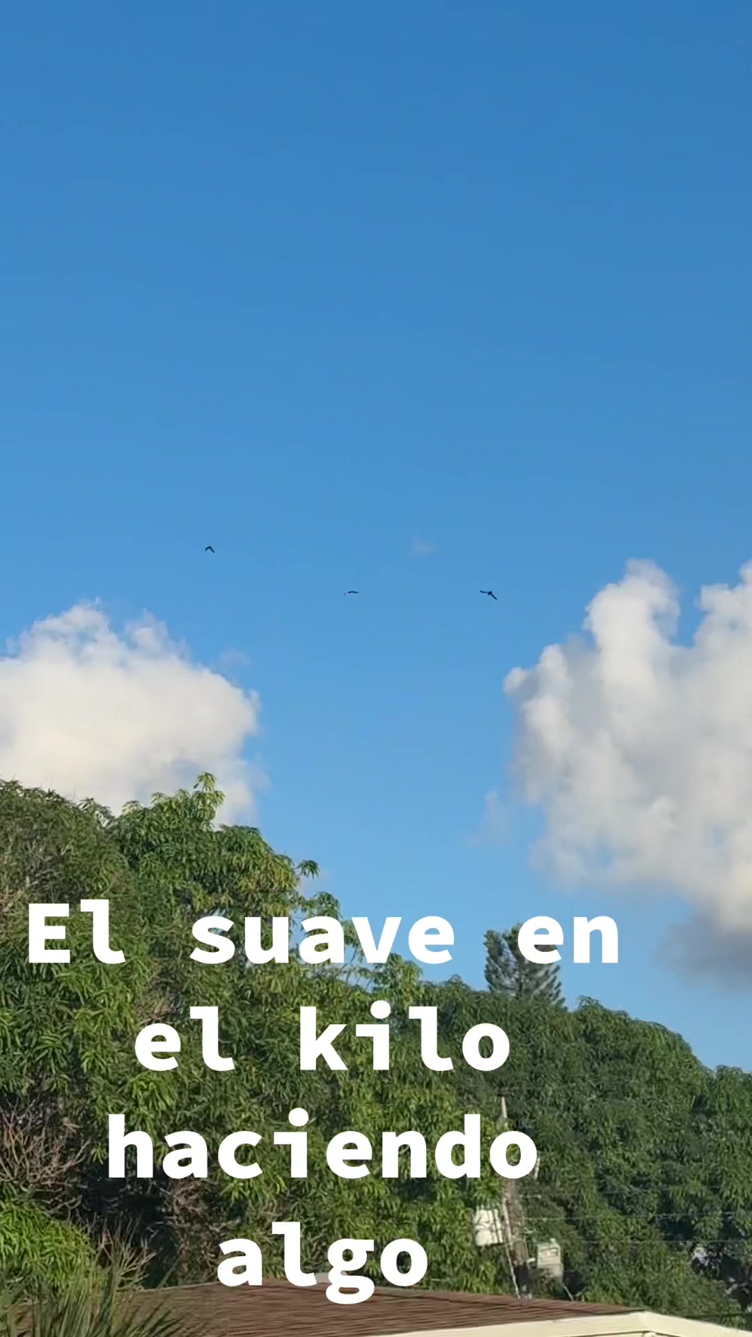 @Julio Emilio Mendez