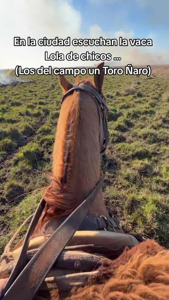 @Ramón_Batalla🫡